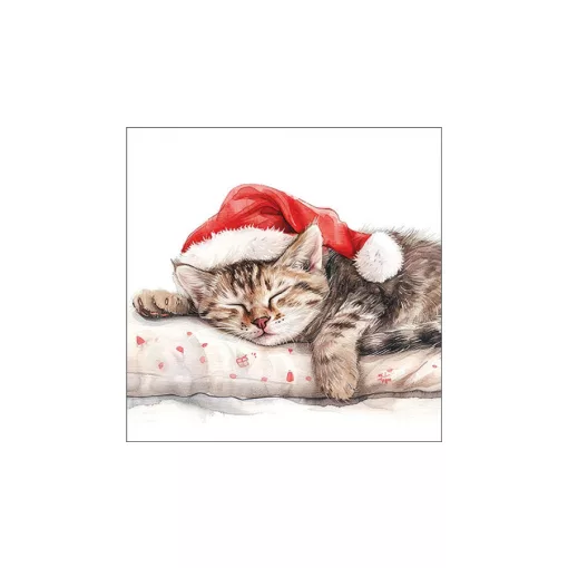Dreaming about X-Mas papírszalvéta 33x33cm, 20db-os – Ambiente