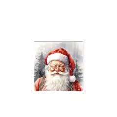 Happy Santa papírszalvéta 25x25cm, 20db-os – Ambiente