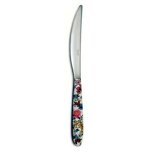 Rozsdamentes kés műanyag dekorborítású nyéllel,22,5cm, Garden Dreams