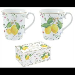   Easy Life-Nuova Porcelán bögreszett 2db-os, 275ml, dobozban, Fleurs et Citrons